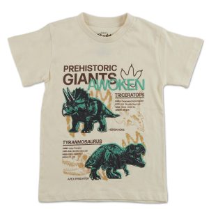 Little Boys Dino Graphic Tee