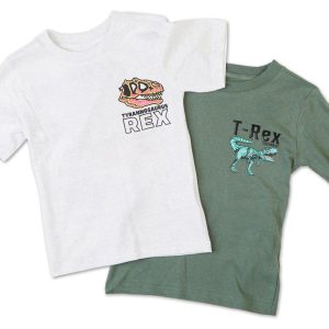 Little Boys 2 Pk Tees