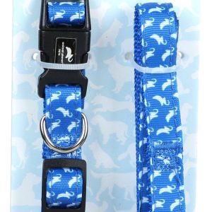 2 Pc Collar & Leash Set